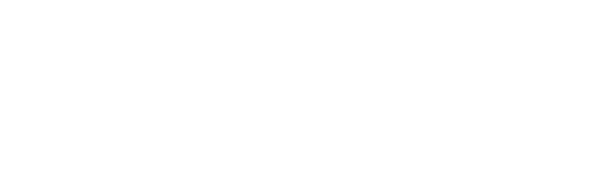 كمال السيّد